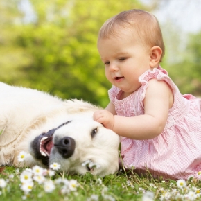 Picture for category Baby & Mother