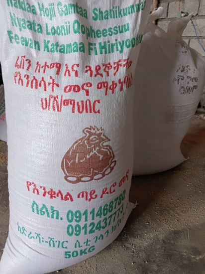 Picture of የእቁላልጣይመኖ
