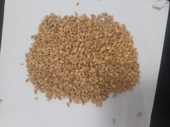 Picture of konel flour